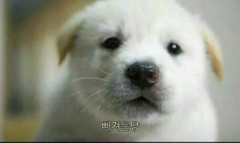재고현황텟
